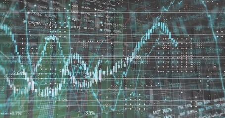 Animation of statistics and financial data processing over grid - Powered by Adobe