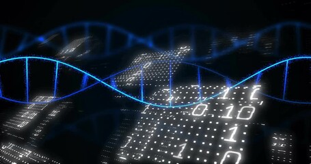 Animation of dna strand, binary coding, data processing on black background - Powered by Adobe