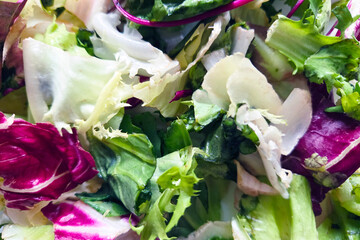 Fresh Mixed Salad Greens - Vibrant and Healthy Vegetarian Ingredient