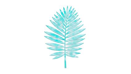 Teal Palm Frond Illustration