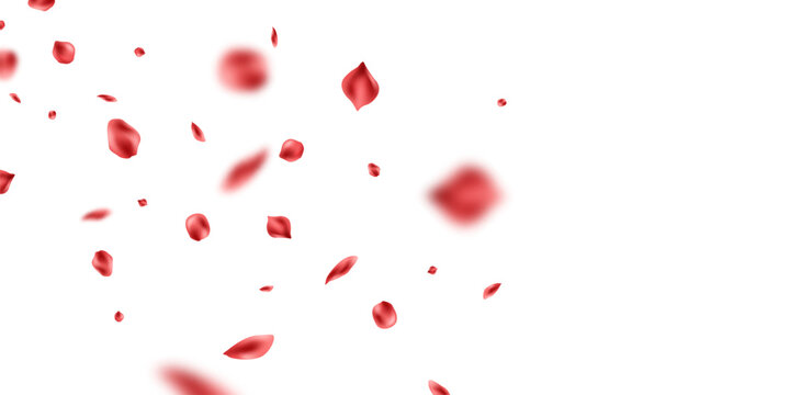 Red flower petals fall onto an abstract floral background, featuring beautiful floral patterns on a greeting card. Vector illustration.