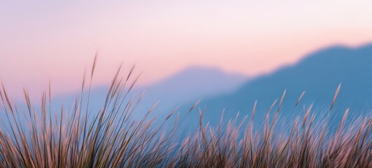 The grass at dawn with pastel mountains and serene misty horizon
