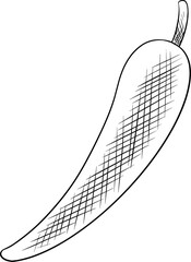 chili hot drawing illustration