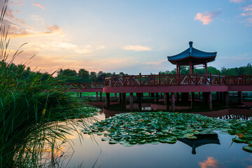 Lotus pond, evening glow, and ancient pavilion landscape at Yuanmingyuan Park, Beijing, China