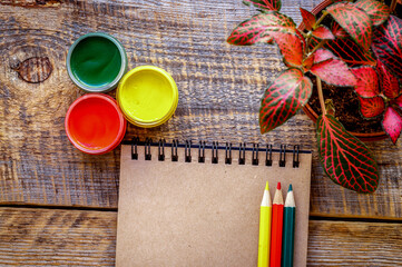 hobby painting  workplace with colored pencils, gouache jars top view