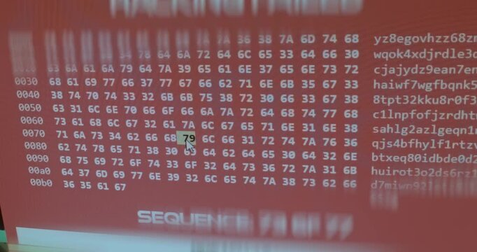 Hex editor displaying data in hexadecimal