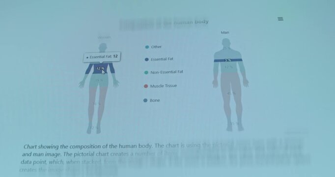Pictorial chart illustrating the average body composition of a woman and a man