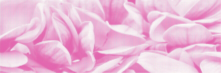 Halftone overlay resembling blooming flower. Delicate pink dot texture on white milk background. Vector banner for design and creative projects