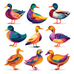 set of ducks