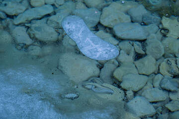 Small piece of ice on the surface of the water on a stream in winter