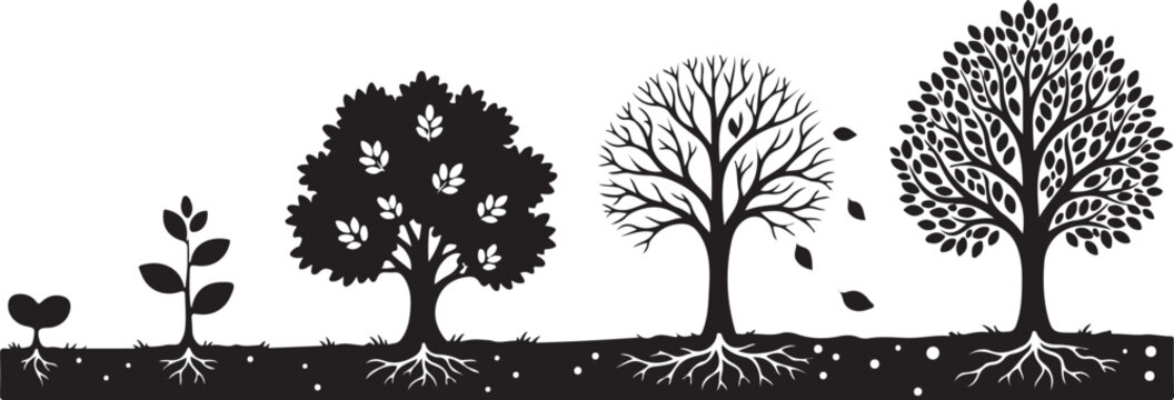 Tree growth stages from seedling to full bloom