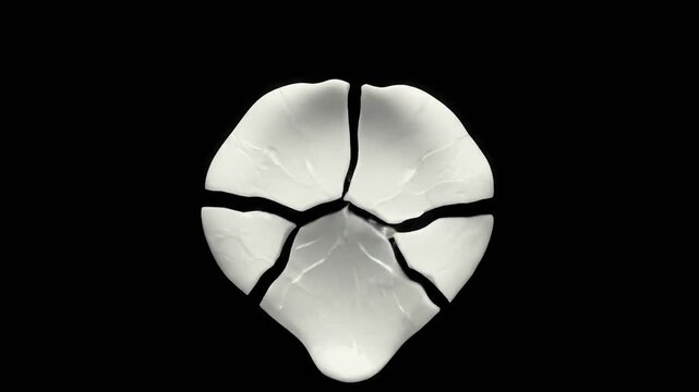 A broken white object on a black background is displayed centrally, showcasing its fractured state from a frontal viewpoint.