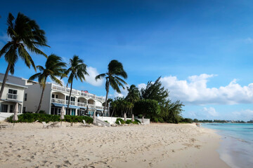 Naklejka premium Scenic view of Seven Miles beach, Grand Cayman