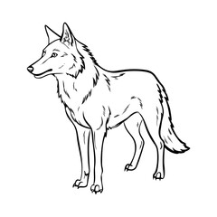 Detailed wolf profile sketch with intricate features and natural stance showcasing the wolf&rsquo;s characteristics in a minimalist line art style.