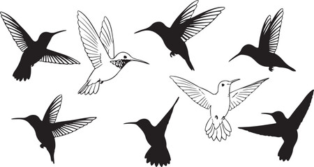 Obraz premium Hummingbirds in Flight Silhouettes and Detailed Illustrations