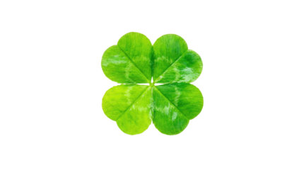Happy st patricks day a four leaf clover with a bright green color and a soft glow on a white background cutout on alpha channel
