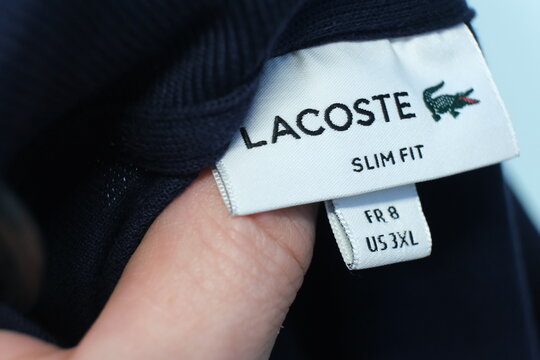 Two hands gently pulling open Lacoste label on dark navy polo shirt displaying white tag with green crocodile emblem slim fit label and sizes FR 8 US 3XL. MAGNITOGORSK, RUSSIA JANUARY 9, 2026.