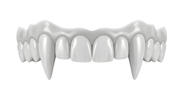 Vampire fangs isolated on transparent background white dental appliance with sharp canines