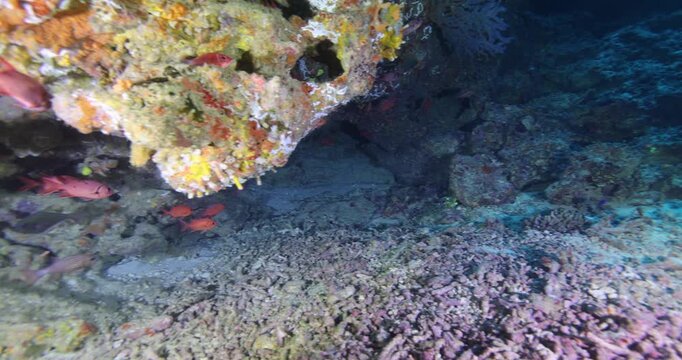 Silhouette of a scuba diver swimming in an underwater cave. A diver explores underwater cave ecosystems. Scuba diving training and education.