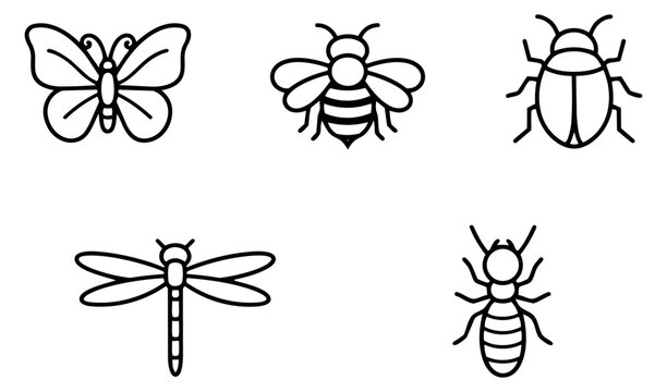 Hand drawn line art insect icon set featuring a butterfly, bee, ladybug, dragonfly, and termite for nature illustrations