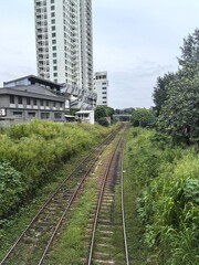Obraz premium Abandoned railway tracks surrounded by lush greenery and tall buildings in the background, showcasing a mix of nature and urban infrastructure in a serene environment.