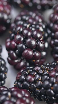 Juicy blackberries glowing on surface, Ripe blackberries with textured drupelets shine brightly, Deep purple blackberries displayed on clean white background for visuals