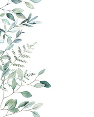 Watercolor floral card with eucalyptus branch. Hand drawn summerl illustration. Wedding border