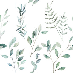Watercolor seamless pattern with eucalyptus branches . Hand drawn illustration on white background