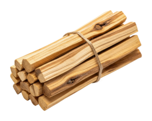 Collecting firewood for camping environment natural scene isolated on transparent background