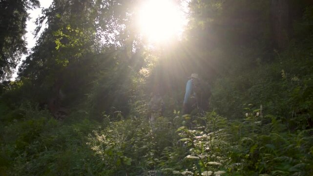 Two Friends Trekking on Forest Trail in Kheerganga, Kasol, Himachal Pradesh, India