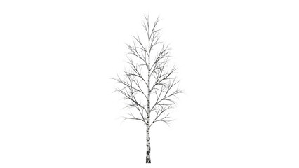 Fototapeta premium A bare birch tree covered in snow and frost isolated on transparent background
