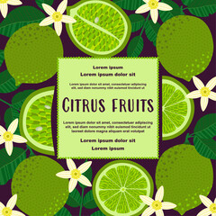 Citrus illustration with whole limes, lime slices and pieces, flowers, and green leaves framing a central text area. Perfect for food packaging, posters, covers, labels, summer ads, and juicy designs.