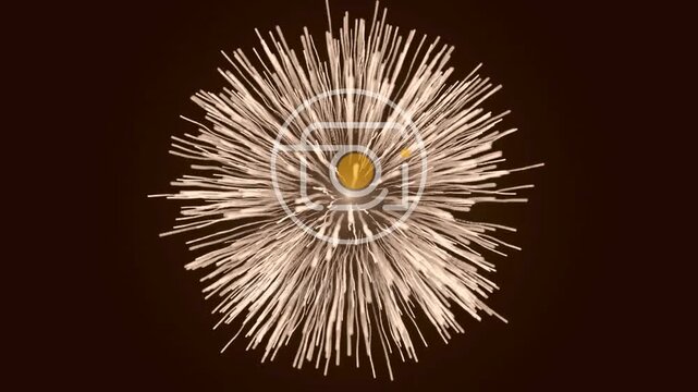 Cinematic Hands Operating Classic Hasselblad Style Camera for Photography Studio Branding