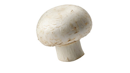A single white mushroom isolated on transparent background	