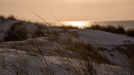 Strand Sondervig Argab Hauvrig, D&auml;nemark