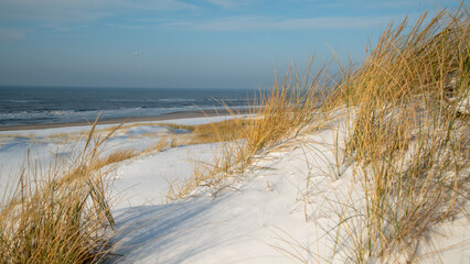 Strand Sondervig Argab Hauvrig, D&auml;nemark