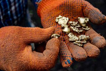 Hands in work gloves holding pieces of gold nuggets. Gold mined from a gold vein