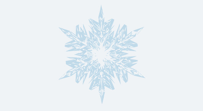 Beautiful intricate snowflake with detailed crystalline patterns on a light background