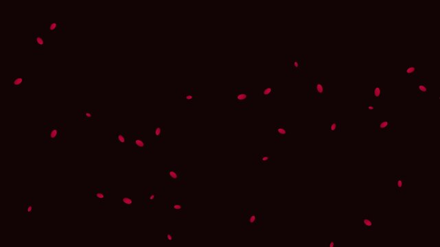 Vector rose petals falling in slow motion