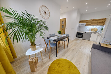 Salon w nowoczesnym apartamencie – jadalnia ze stolikiem z talerzami, duży zielony kwiat w doniczce © arteffect.pl