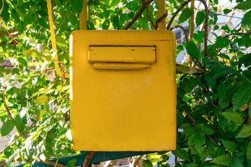 Vibrant yellow mailbox set amidst dense green leaves, offering a picturesque outdoor setting perfect for themes of communication and nature.