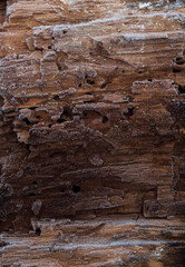 Dark old wood with hoarfrost. Old wooden background with winter cold ice.