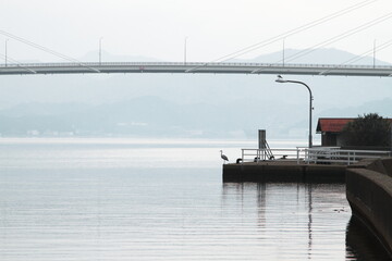 海辺に佇むアオサギと橋