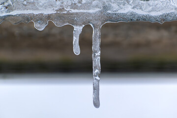 Snow in the garden and outside