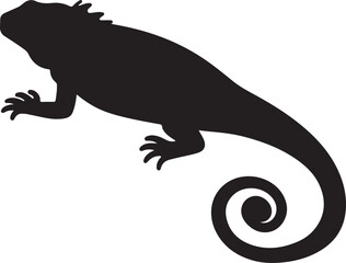 An attractive silhouette of an iguana placed in the background, showcasing its shape and features
