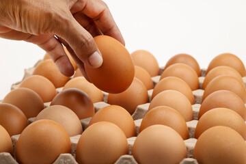 A hand picking up one fresh chicken egg from paper tray on white background