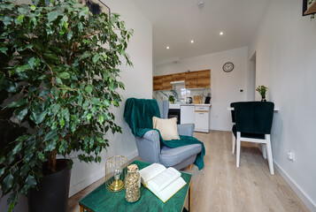 Salon w nowoczesnym apartamencie w zielonej tonacji kolorystycznej © arteffect.pl