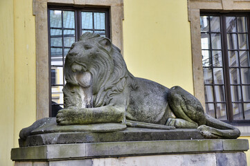 Kamienna statua lwa strzegąca zabytkowej fasady budynku z żółtymi ścianami i dużymi oknami. © Pol Badger