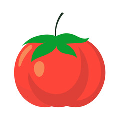 Illustration of a Ripe Tomato