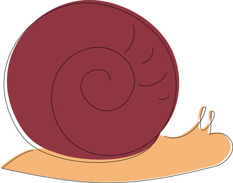 Vector illustration of snail in cartoon style
